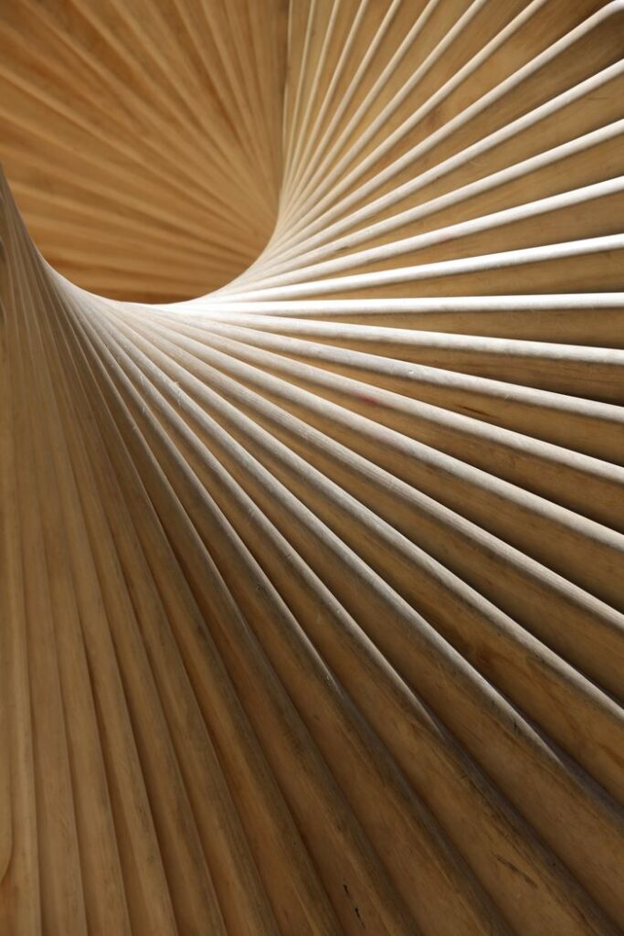 Abstract image capturing the intricate curves and lines of a wooden architectural structure.